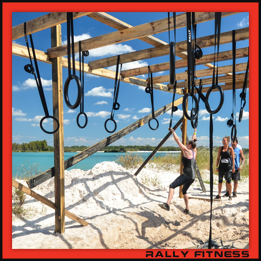 Gymnastic Rings for Sale Wood or Metal Rally Fitness